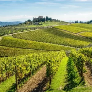 Winery in the Chianti Area ($54) (Day 5) (03-June-2026).