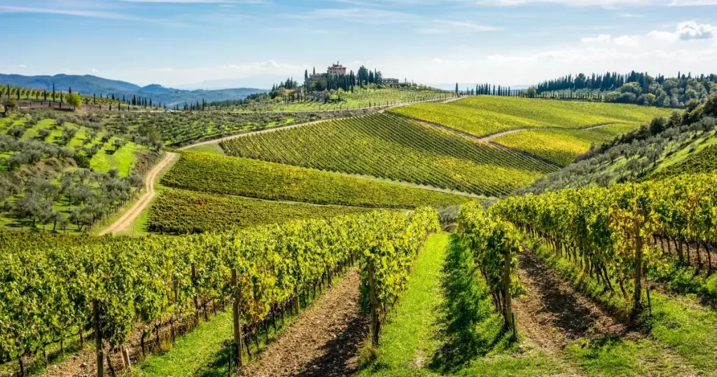 Winery in the Chianti Area ($54) (Day 5) (03-June-2026).